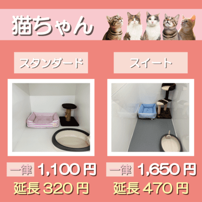 ペットホテル 猫ちゃん スタンダード 一律￥1,100  延長￥320 スイート 一律￥1,650  延長￥470