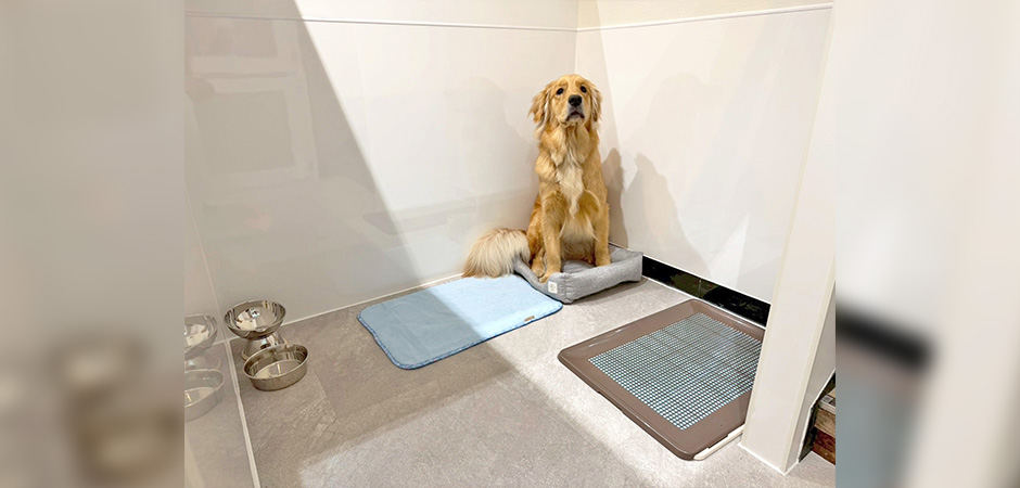 ワンルーク加古川店のペットホテル