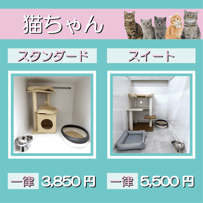 ペットホテル 猫ちゃん スタンダード 一律￥3,850 スイート 一律￥5,500