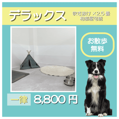 ペットホテル デラックス 吹き抜け2.5畳程 相部屋可能  一律￥8,800 お散歩無料