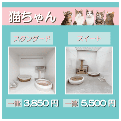 ペットホテル 猫ちゃん スタンダード 一律￥3,850 スイート 一律￥5,500