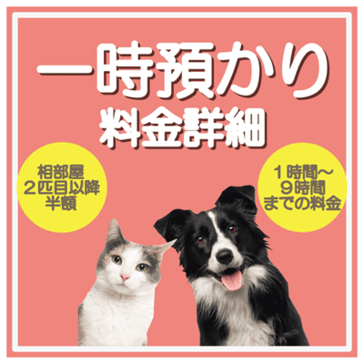 一時預かり料金詳細 相部屋2匹目以降半額 1時間〜9時間までの料金