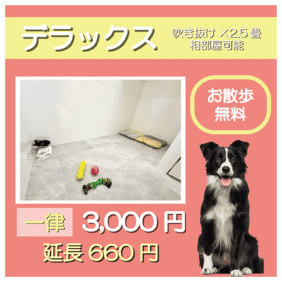 ペットホテル デラックス 吹き抜け2.5畳程 相部屋可能  一律￥3,000 延長￥660 お散歩無料