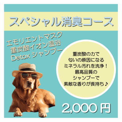 スペシャル消臭コース エモリエントマスク＋重炭酸イオン温浴＋Detoxシャンプー 2,000円