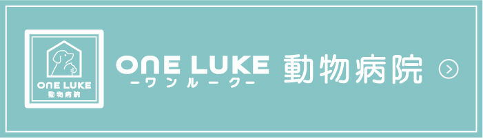 ワンルーク動物病院はこちら