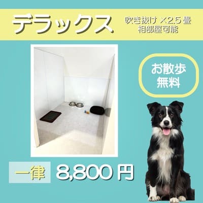 ペットホテル デラックス 吹き抜け2.5畳程 相部屋可能  一律￥8,800 お散歩無料