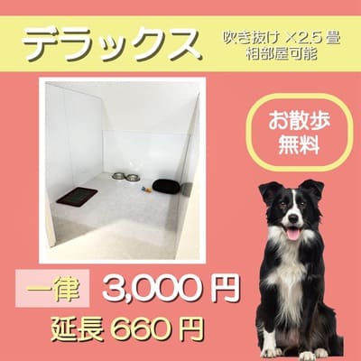 ペットホテル デラックス 吹き抜け2.5畳程 相部屋可能  一律￥3,000 延長￥660 お散歩無料
