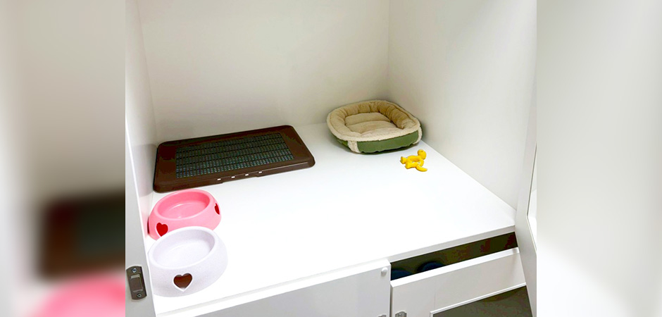 ワンルーク江戸川区京成小岩店のペットホテル