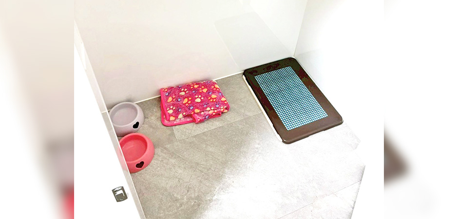 ワンルーク江戸川区京成小岩店のペットホテル