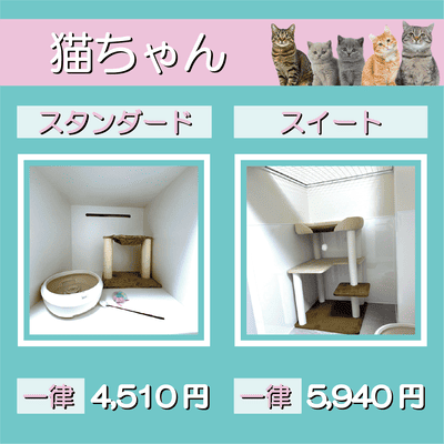 ペットホテル 猫ちゃん スタンダード 一律￥4,510 スイート 一律￥5,940