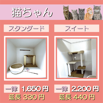 ペットホテル 猫ちゃん スタンダード 一律￥1,650  延長￥330 スイート 一律￥2,200  延長￥440