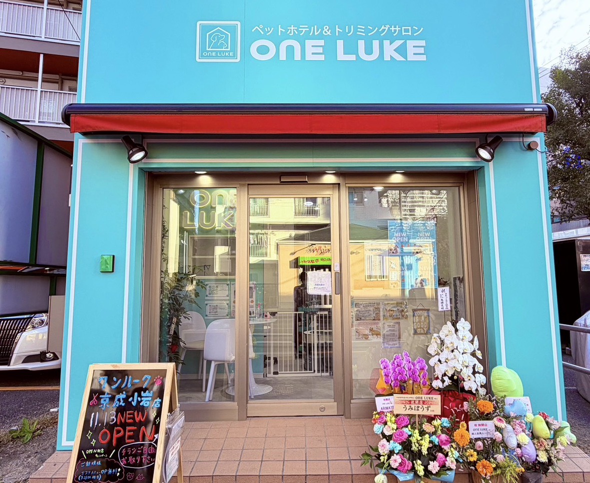 ワンルーク江戸川区京成小岩店の外観