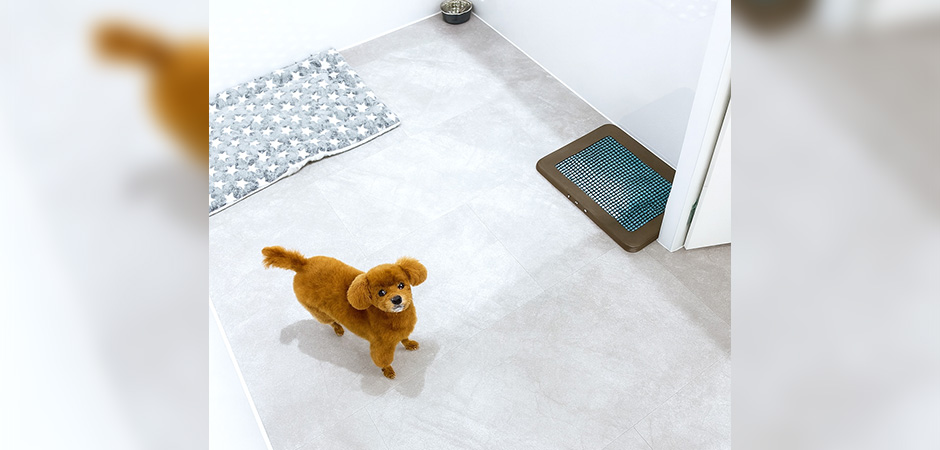 ワンルーク神戸中央区店のペットホテル