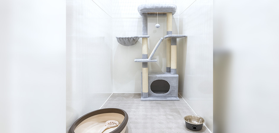 ワンルーク神戸中央区店のペットホテル