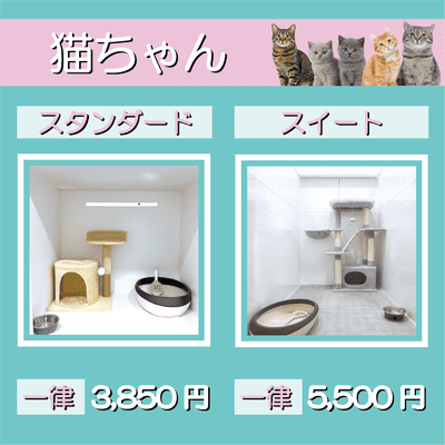 ペットホテル 猫ちゃん スタンダード 一律￥3,850 スイート 一律￥5,500