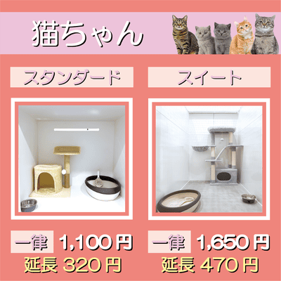 ペットホテル 猫ちゃん スタンダード 一律￥1,100  延長￥320 スイート 一律￥1,650  延長￥470