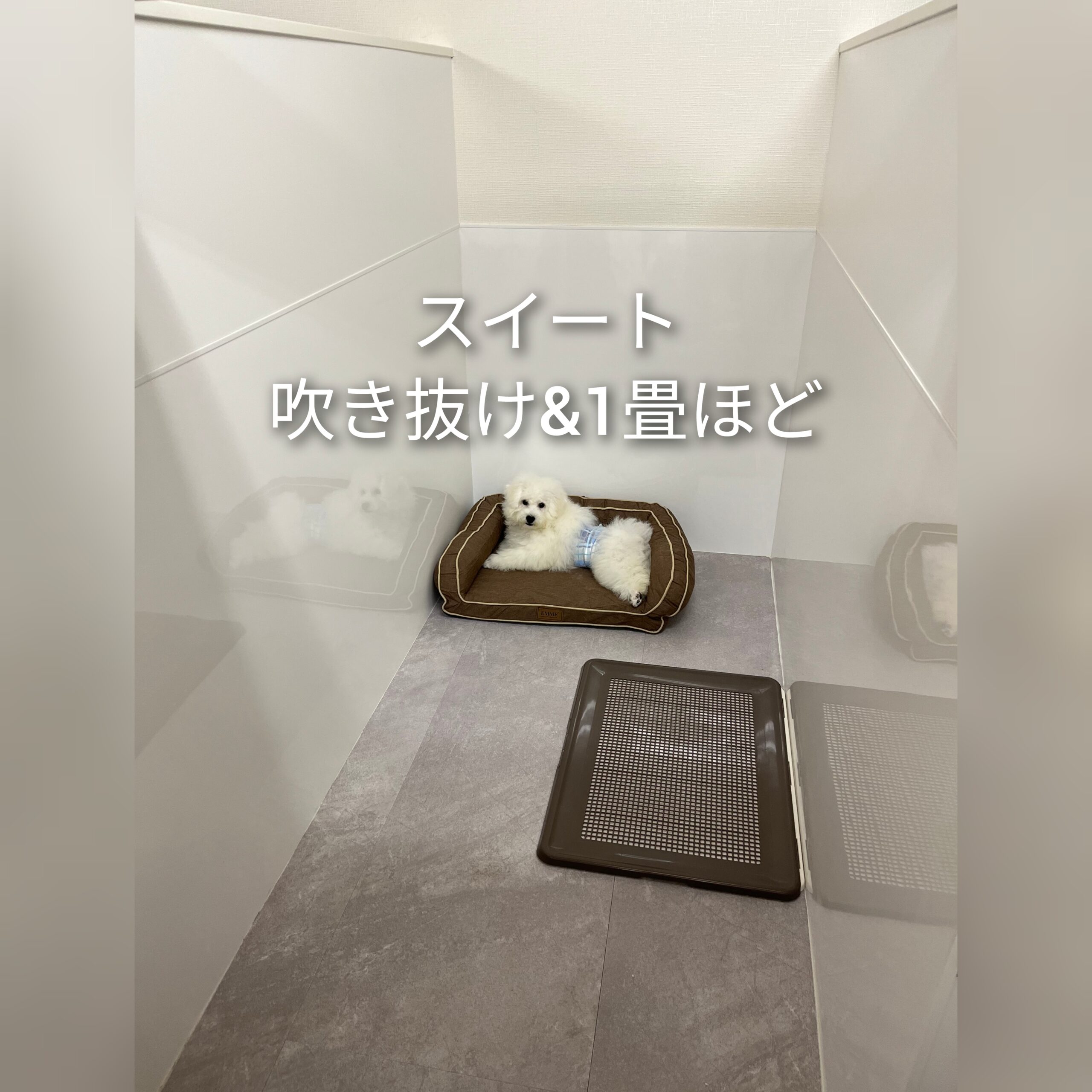 東京都小平市のペットトリミング・ホテルならワンルーク小平店　スイートルーム画像