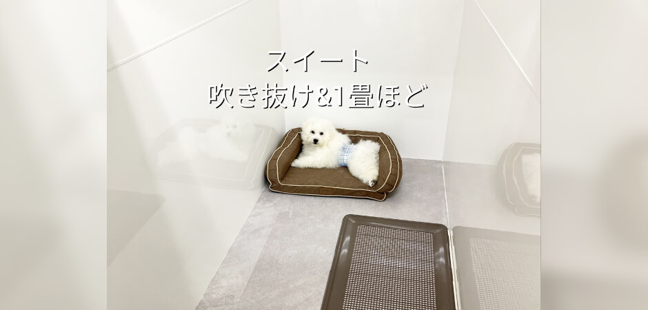 東京都小平市のペットトリミング・ホテルならワンルーク小平店　スイートルーム画像