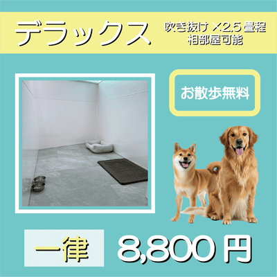 ペットホテル デラックス 吹き抜け2.5畳程 相部屋可能  一律￥8,800 お散歩無料