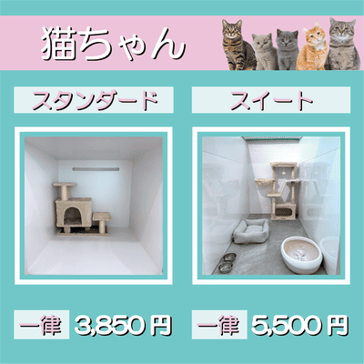 ペットホテル 猫ちゃん スタンダード 一律￥3,850 スイート 一律￥5,500