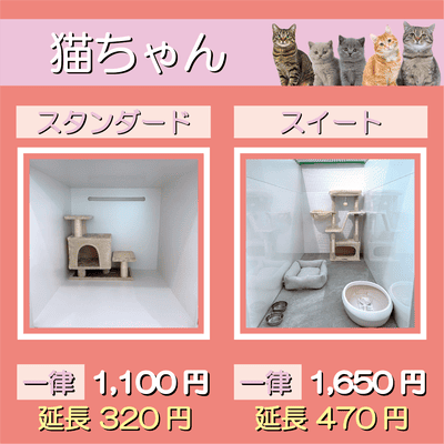 ペットホテル 猫ちゃん スタンダード 一律￥1,100  延長￥320 スイート 一律￥1,650  延長￥470