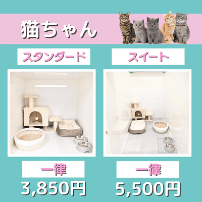 ペットホテル 猫ちゃん スタンダード 一律￥3,850 スイート 一律￥5,500