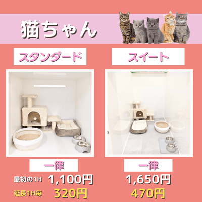 ペットホテル 猫ちゃん スタンダード 一律￥1,100  延長￥320 スイート 一律￥1,650  延長￥470
