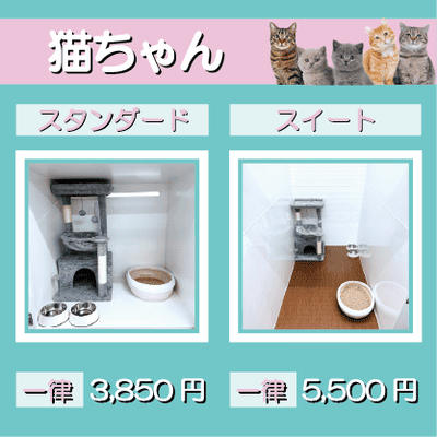 ペットホテル 猫ちゃん スタンダード 一律￥3,850 スイート 一律￥5,500