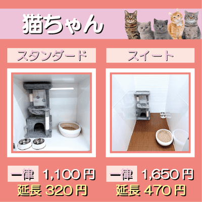 ペットホテル 猫ちゃん スタンダード 一律￥1,100  延長￥320 スイート 一律￥1,650  延長￥470