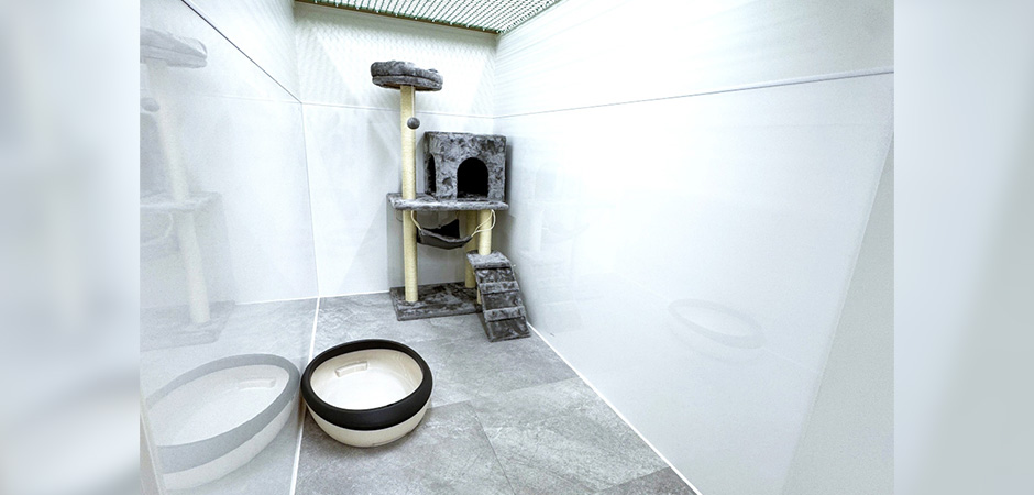 ワンルーク世田谷区経堂店のペットホテル