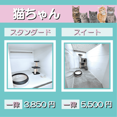ペットホテル 猫ちゃん スタンダード 一律￥3,850 スイート 一律￥5,500