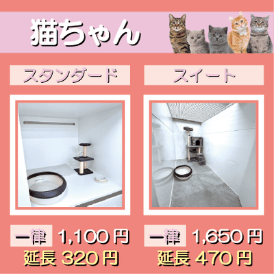 ペットホテル 猫ちゃん スタンダード 一律￥1,100  延長￥320 スイート 一律￥1,650  延長￥470
