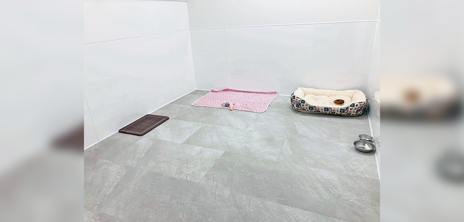 ワンルーク京都下京区京都駅店のペットホテル