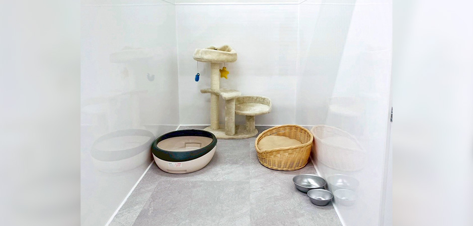 ワンルーク京都下京区京都駅店のペットホテル