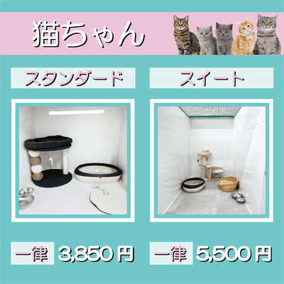 ペットホテル 猫ちゃん スタンダード 一律￥3,850 スイート 一律￥5,500