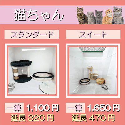 ペットホテル 猫ちゃん スタンダード 一律￥1,100  延長￥320 スイート 一律￥1,650  延長￥470
