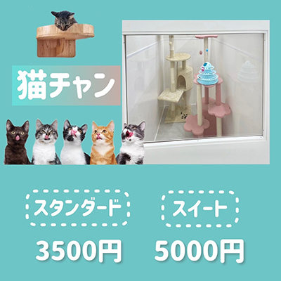 ペットホテル 猫ちゃん スタンダード￥3,500 スイート￥5,000