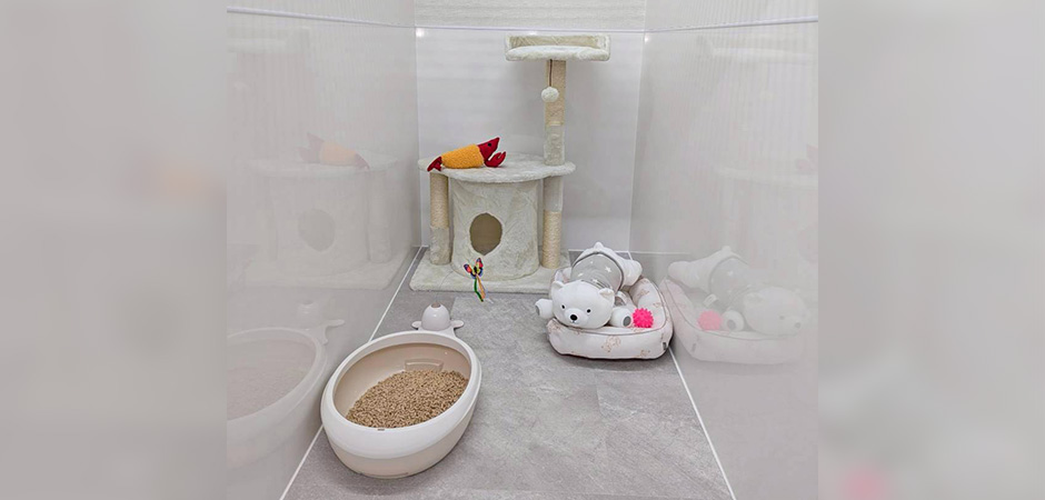 ワンルーク松山市松山空港店のペットホテル