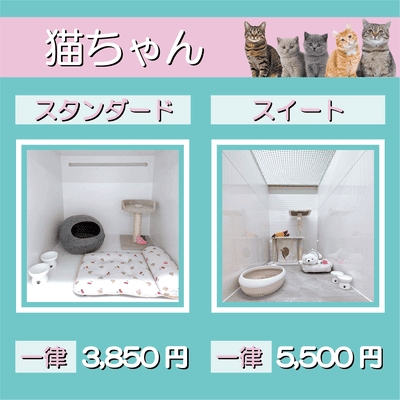 ペットホテル 猫ちゃん スタンダード 一律￥3,850 スイート 一律￥5,500