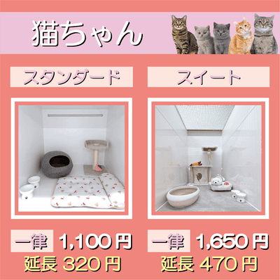 ペットホテル 猫ちゃん スタンダード 一律￥1,100  延長￥320 スイート 一律￥1,650  延長￥470