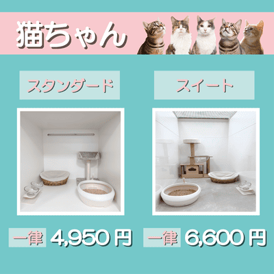 ペットホテル 猫ちゃん スタンダード 一律￥4,950 スイート 一律￥6,600