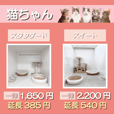 ペットホテル 猫ちゃん スタンダード 一律￥1,650  延長￥385 スイート 一律￥2,200  延長￥540