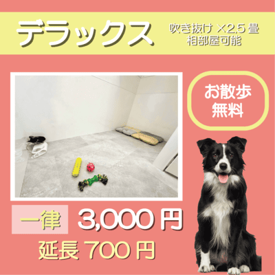 ペットホテル デラックス 吹き抜け2.5畳程 相部屋可能  一律￥3,000 延長￥700 お散歩無料