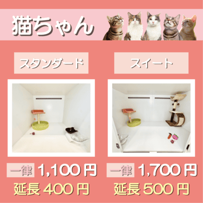 ペットホテル 猫ちゃん スタンダード 一律￥1,100  延長￥400 スイート 一律￥1,700  延長￥500