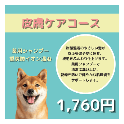 皮膚ケアコース 薬用シャンプー＋重炭酸イオン温浴 1,760円