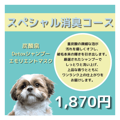 スペシャル消臭コース エモリエントマスク＋炭酸泉＋Detoxシャンプー 1,870円