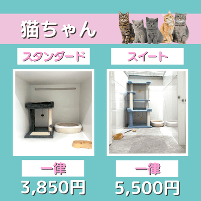 ペットホテル 猫ちゃん スタンダード 一律￥3,850 スイート 一律￥5,500