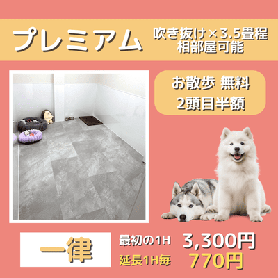 ペットホテル プレミアム 吹き抜け3.5畳程  一律￥3,300 延長￥770 お散歩無料