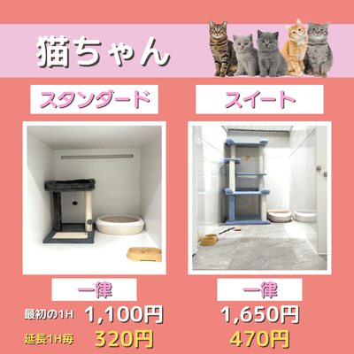 ペットホテル 猫ちゃん スタンダード 一律￥1,100  延長￥320 スイート 一律￥1,650  延長￥470
