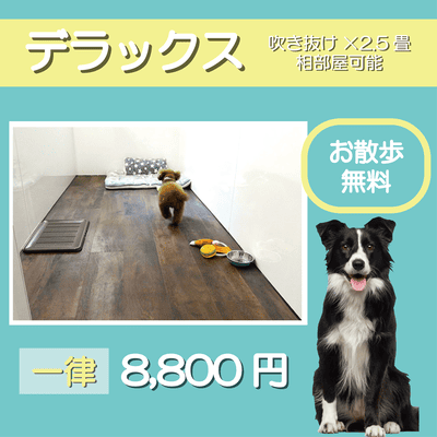 ペットホテル デラックス 吹き抜け2.5畳程 相部屋可能  一律￥8,800 お散歩無料